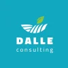 Logo Dalle Consulting