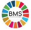 Logotip BMS - Bomosa