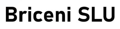 Logotip provisional de Briceni