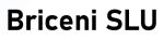 Logotip provisional de Briceni